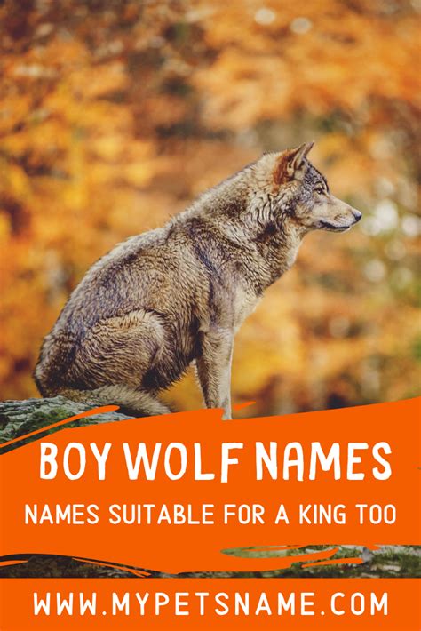 cool male wolf names|rare male wolf names.